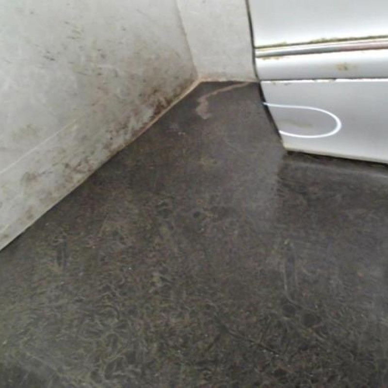 Porte arriere gauche MERCEDES CLASSE S 220 Photo n°2