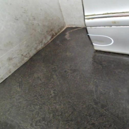 Porte arriere gauche MERCEDES CLASSE S 220