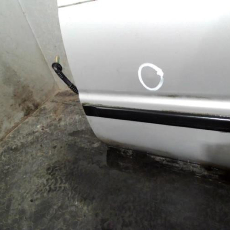 Porte arriere gauche SUZUKI BALENO 1 Photo n°3