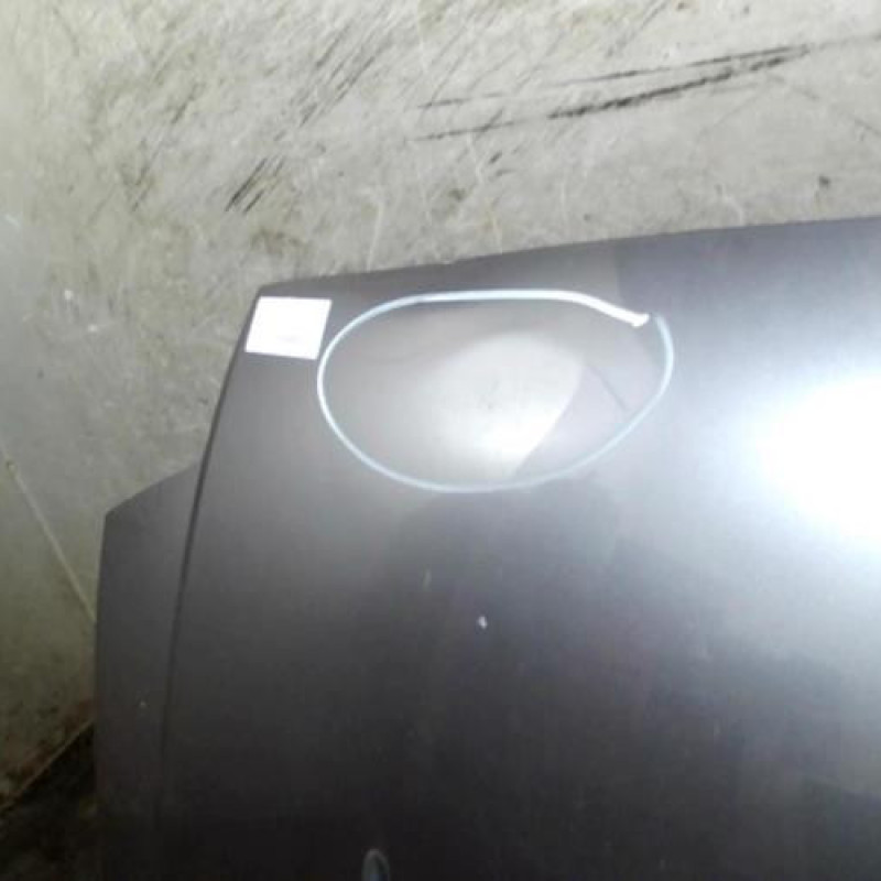 Capot CITROEN C2 Photo n°2