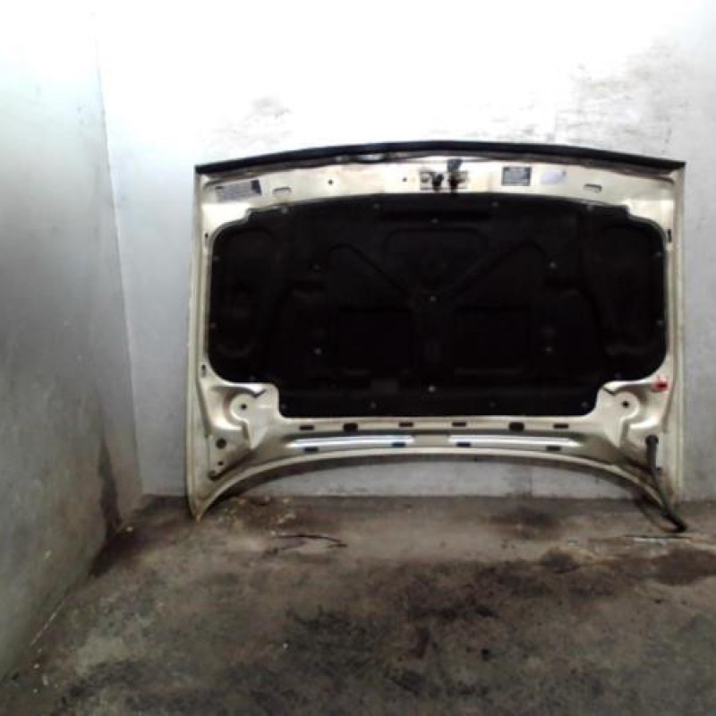 Capot LANCIA DELTA 1 Photo n°3