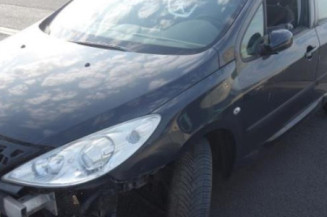 Trappe d'essence PEUGEOT 307