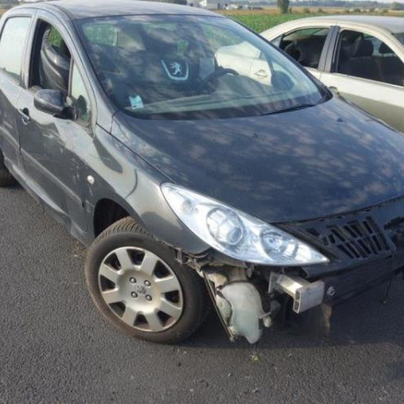 Trappe d'essence PEUGEOT 307 Photo n°4