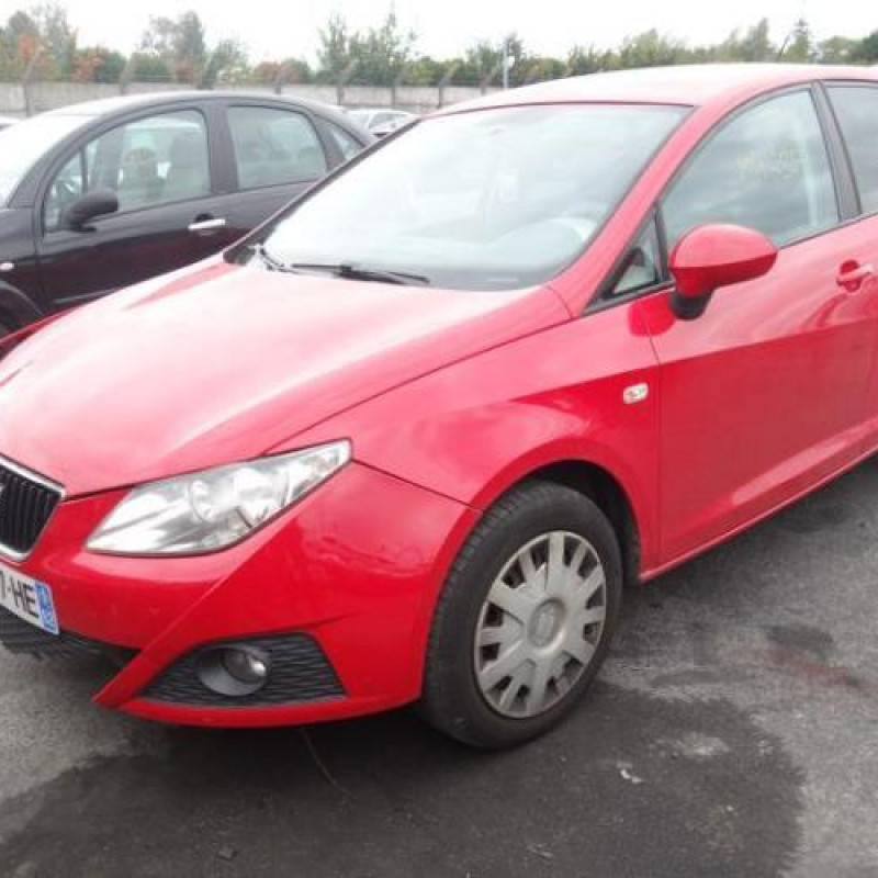 Porte arriere gauche SEAT IBIZA 4 Photo n°3