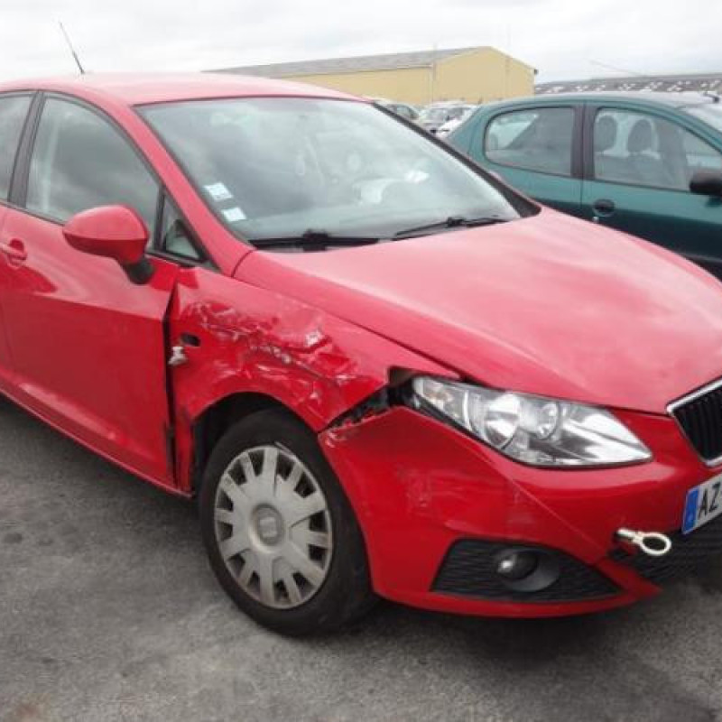 Porte arriere gauche SEAT IBIZA 4 Photo n°4