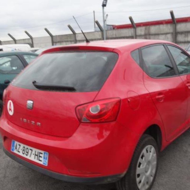 Porte arriere gauche SEAT IBIZA 4 Photo n°5