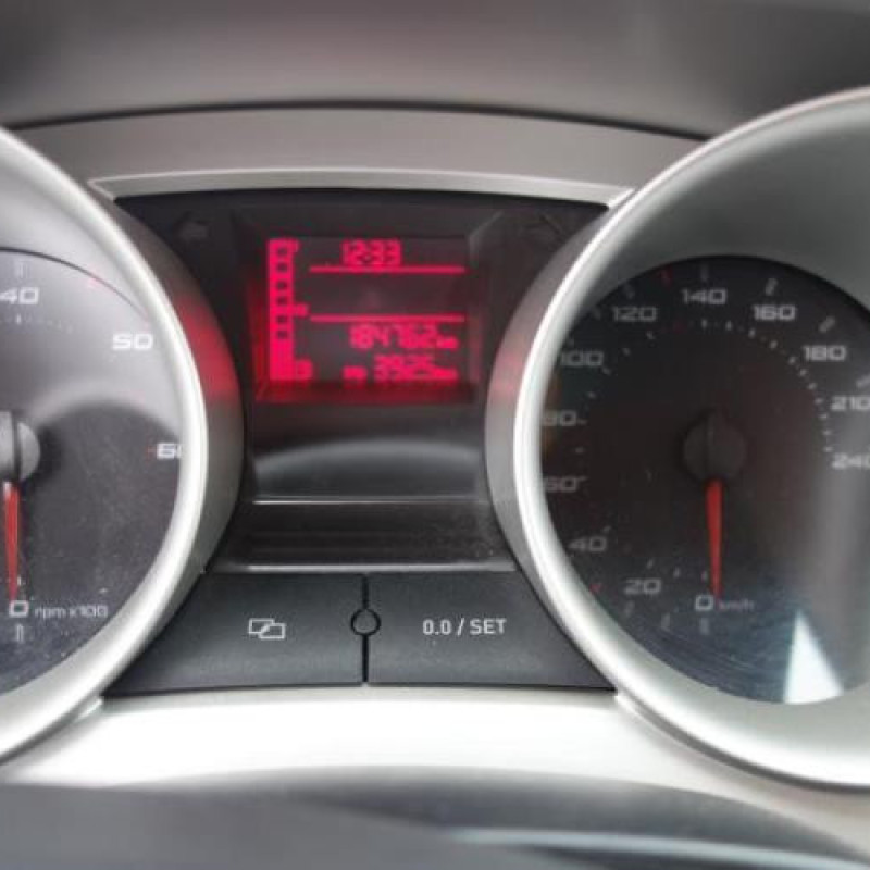 Porte arriere gauche SEAT IBIZA 4 Photo n°11