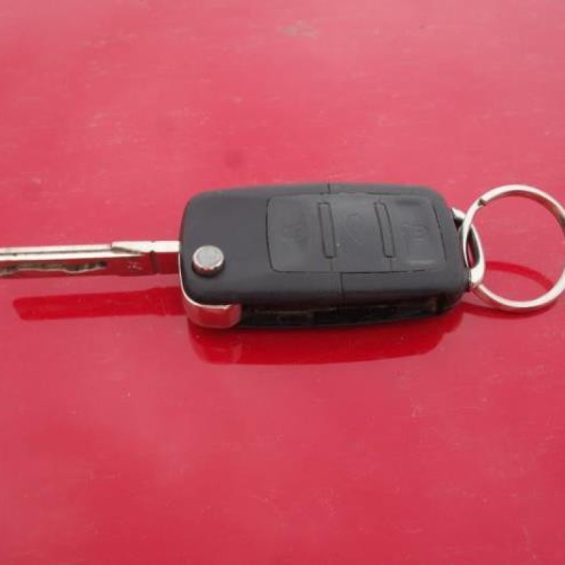 Porte arriere gauche SEAT IBIZA 4 Photo n°13
