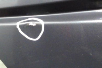 Porte avant gauche VOLKSWAGEN TRANSPORTER 4
