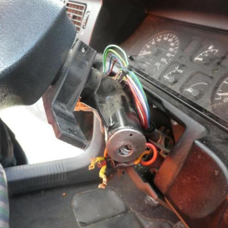 Porte arriere gauche RENAULT R19 Photo n°13