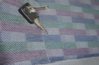 Porte arriere gauche RENAULT R19