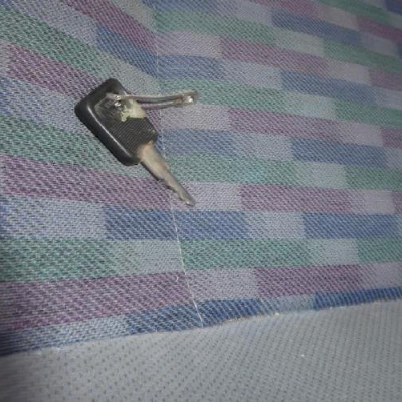 Porte arriere gauche RENAULT R19 Photo n°14