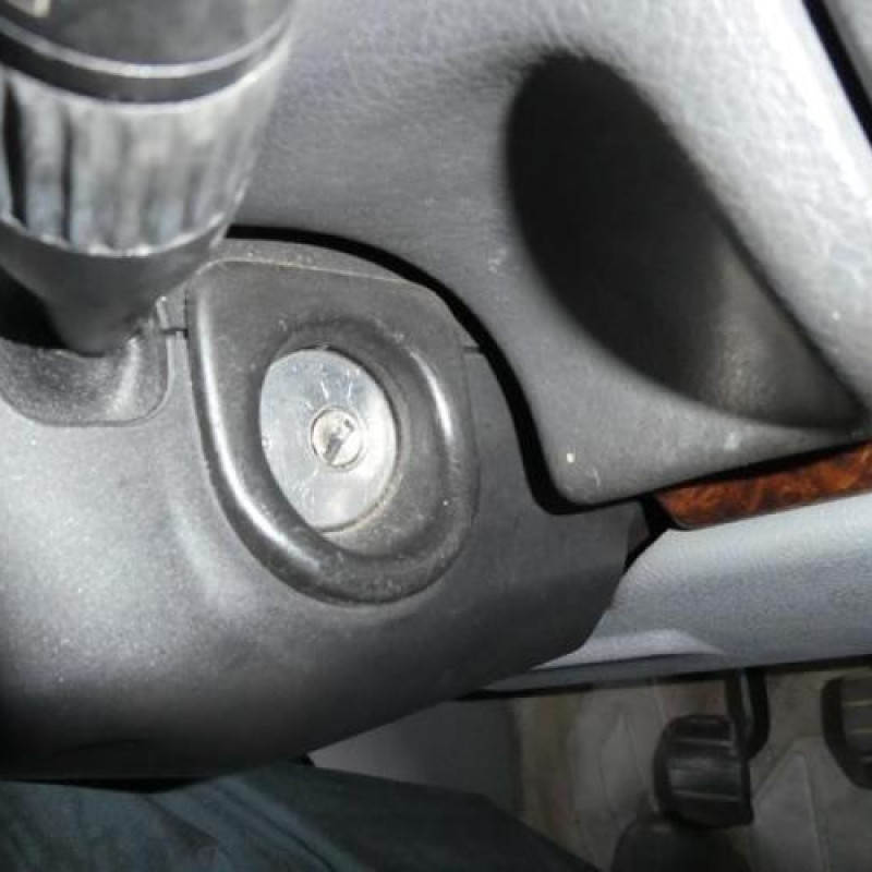 Porte arriere droit RENAULT SAFRANE Photo n°10