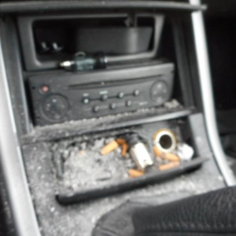 Etrier avant gauche (freinage) RENAULT AVANTIME Photo n°7