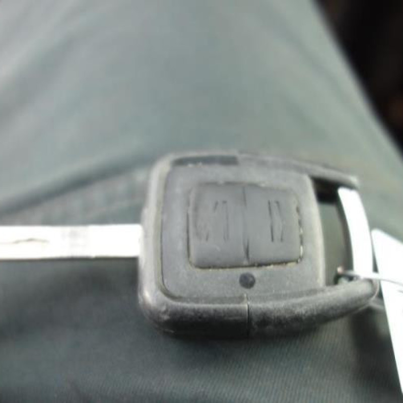 Porte arriere droit OPEL ZAFIRA A Photo n°10