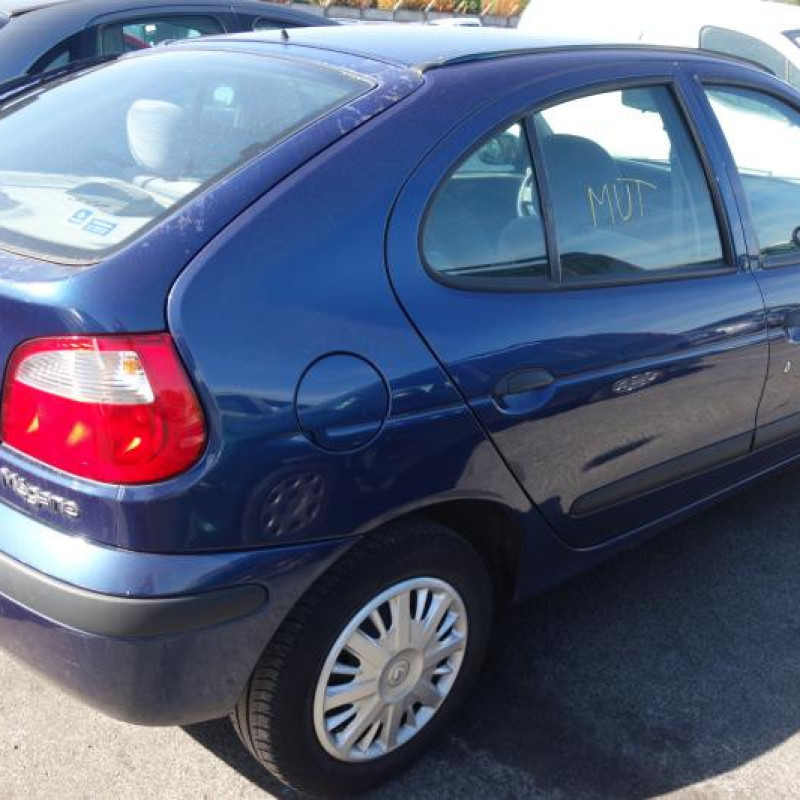 Porte avant gauche RENAULT MEGANE 1 Photo n°5