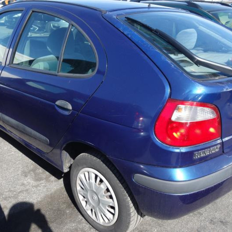 Porte avant gauche RENAULT MEGANE 1 Photo n°6