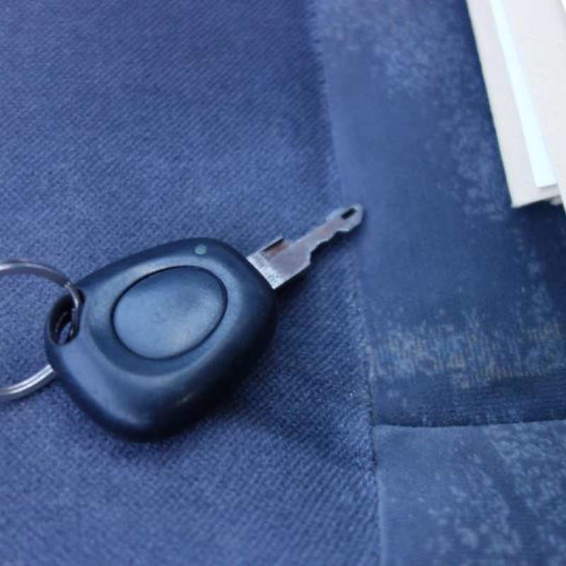 Porte avant gauche RENAULT MEGANE 1 Photo n°9
