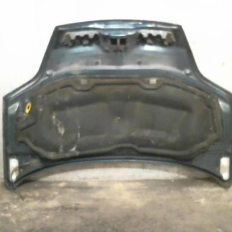 Capot RENAULT SCENIC 1 Photo n°3