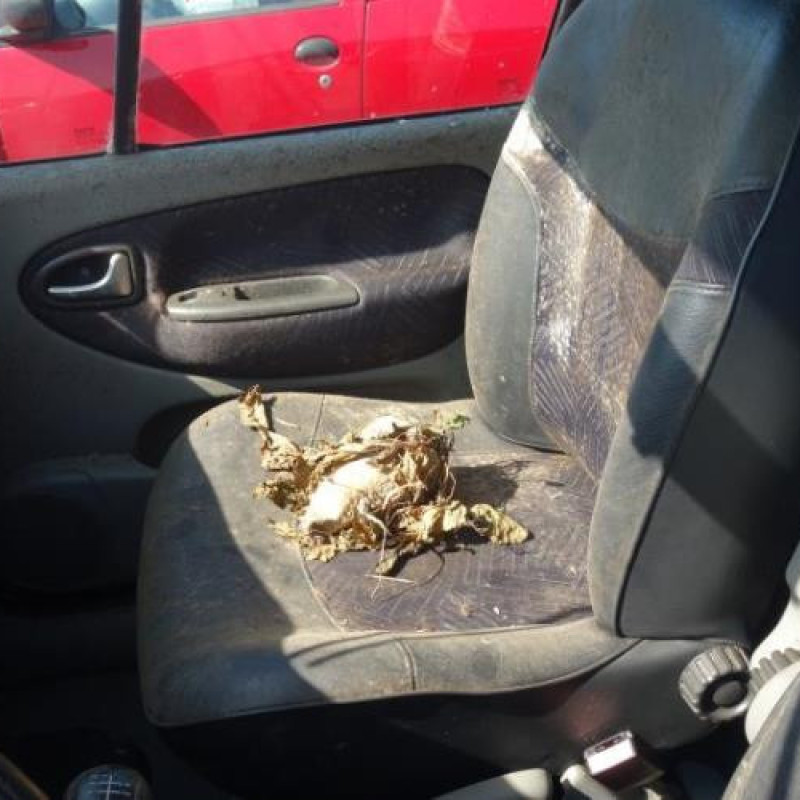 Retroviseur droit RENAULT SCENIC 1 Photo n°11