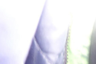 Porte arriere gauche CITROEN C5 1