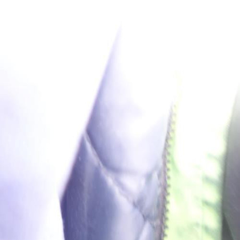 Porte arriere gauche CITROEN C5 1 Photo n°14