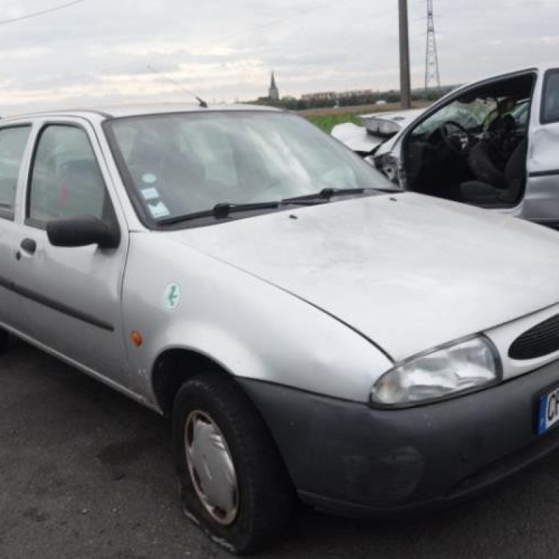 Porte arriere gauche FORD FIESTA 4 Photo n°5