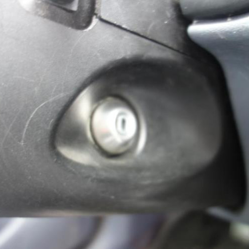 Porte arriere gauche FORD FIESTA 4 Photo n°11