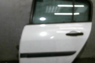 Porte arriere gauche RENAULT MEGANE 2 Photo n°1
