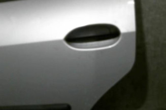 Porte arriere gauche DACIA LOGAN 1