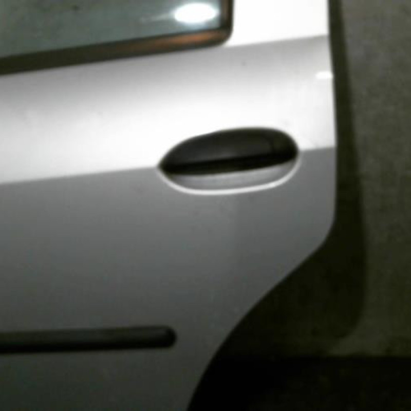 Porte arriere gauche DACIA LOGAN 1 Photo n°2