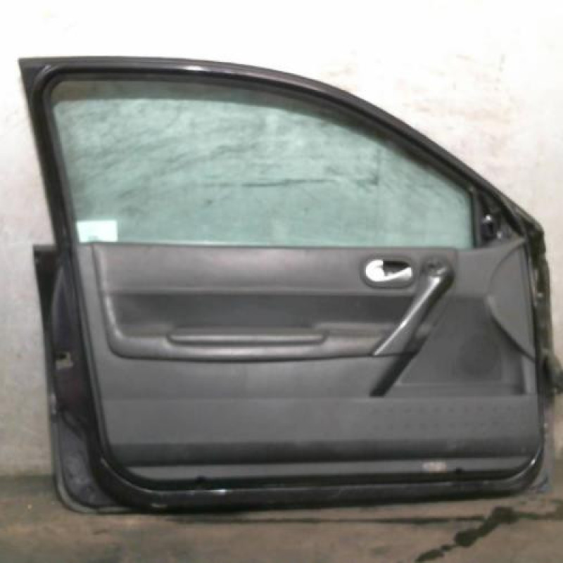 Porte avant gauche RENAULT MEGANE 2 Photo n°2