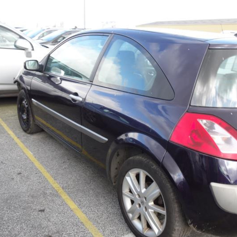 Porte avant gauche RENAULT MEGANE 2 Photo n°3