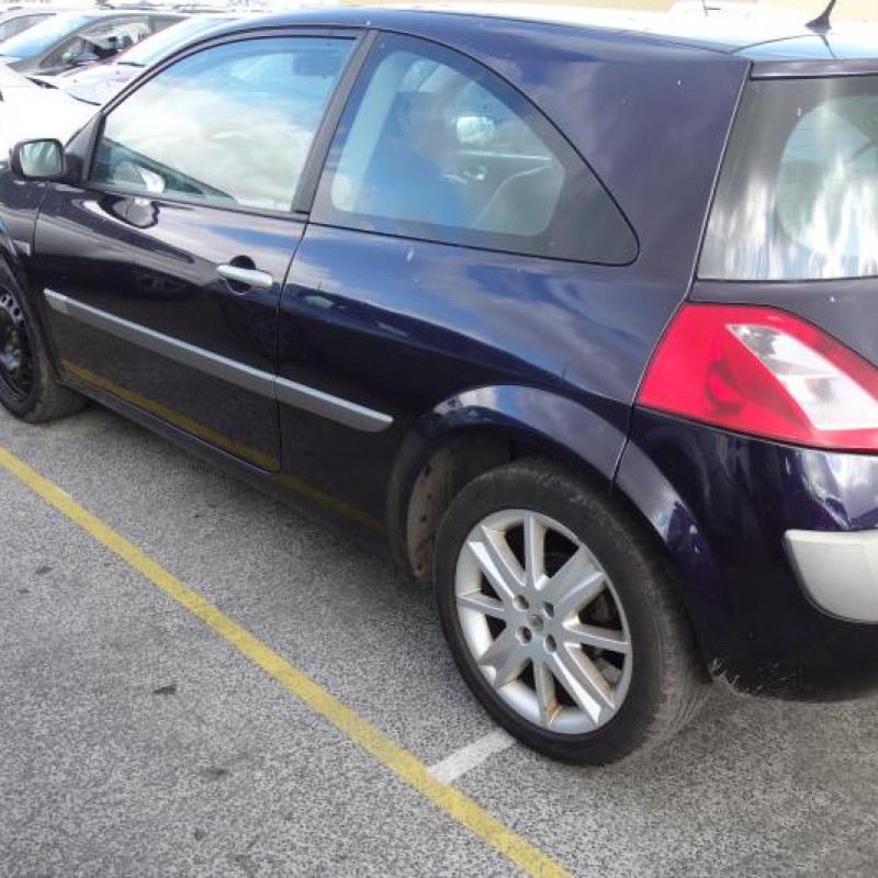 Porte avant gauche RENAULT MEGANE 2 Photo n°4