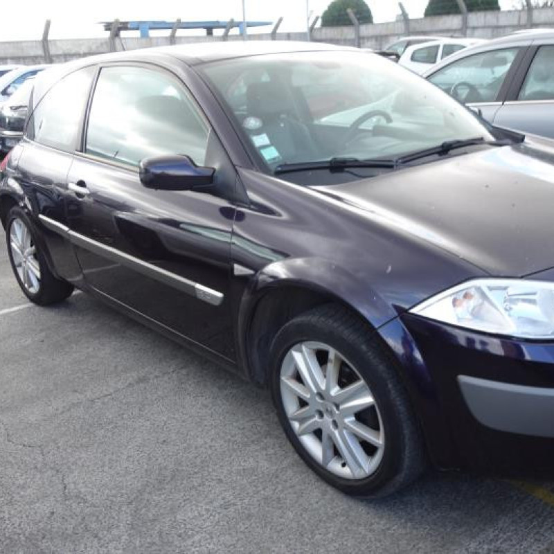 Porte avant gauche RENAULT MEGANE 2 Photo n°6