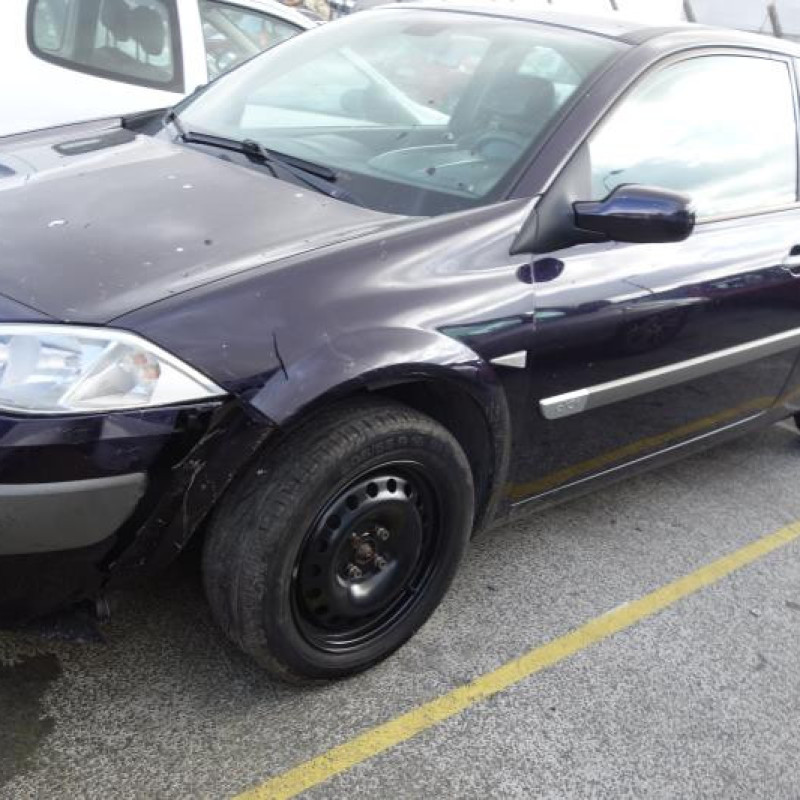 Porte avant gauche RENAULT MEGANE 2 Photo n°7