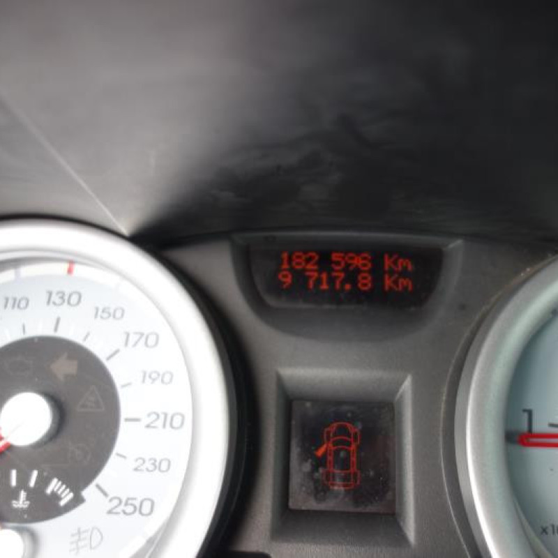 Porte avant gauche RENAULT MEGANE 2 Photo n°10
