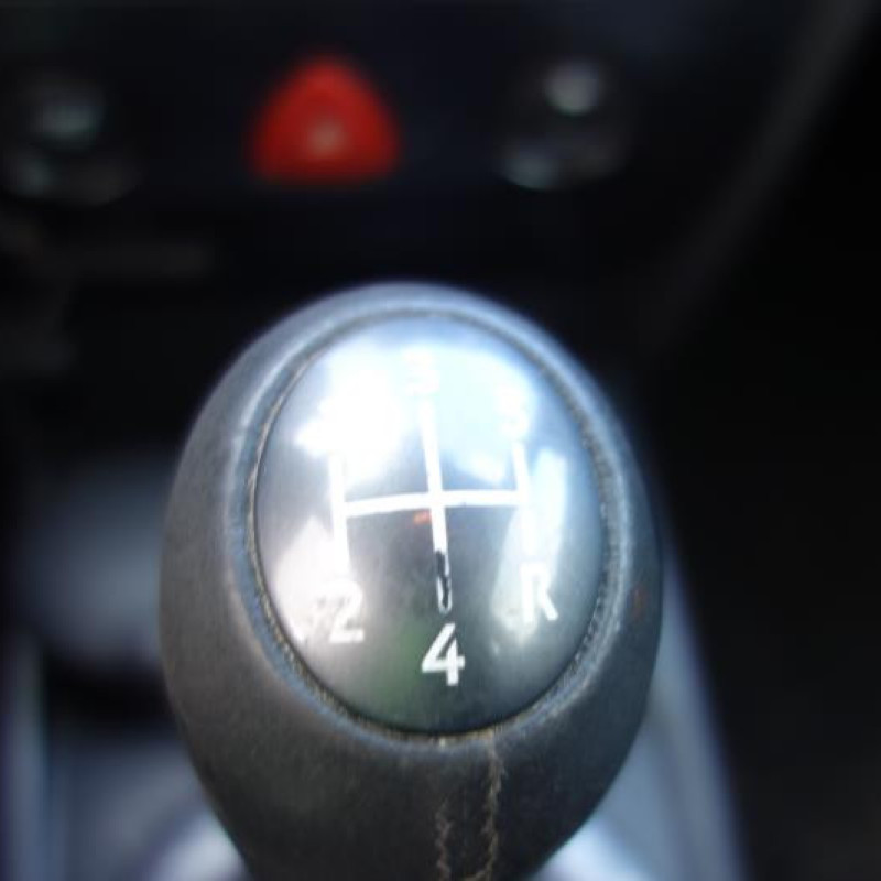 Porte avant gauche RENAULT MEGANE 2 Photo n°14