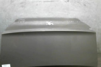 Malle/Hayon arriere PEUGEOT 407 Photo n°1