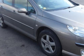 Malle/Hayon arriere PEUGEOT 407