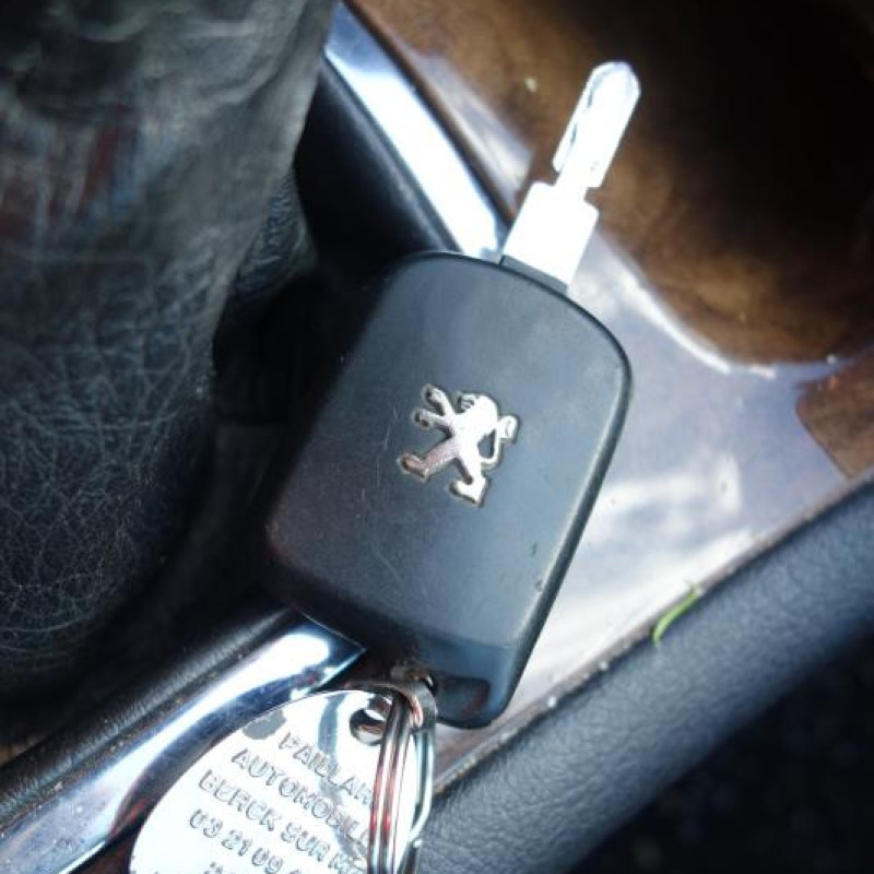 Porte arriere droit PEUGEOT 607 Photo n°9