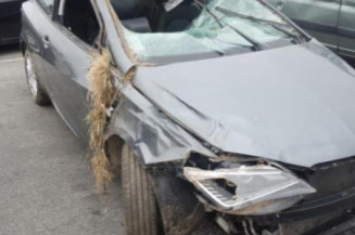 Bras essuie glace avant gauche SEAT IBIZA 4