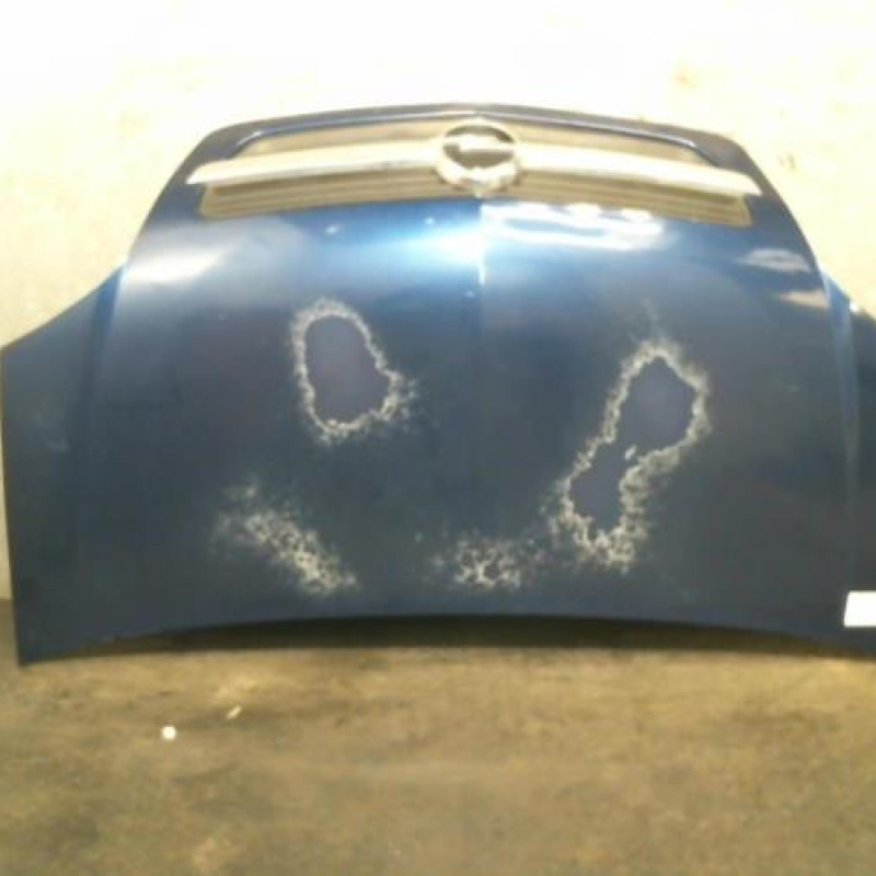 Capot OPEL MERIVA A Photo n°1
