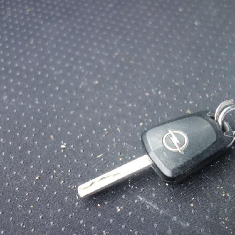 Malle/Hayon arriere OPEL ASTRA H Photo n°11