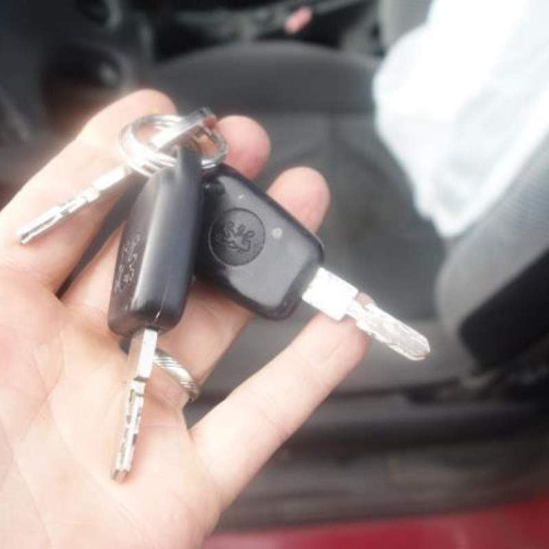 Malle/Hayon arriere PEUGEOT 406 Photo n°15