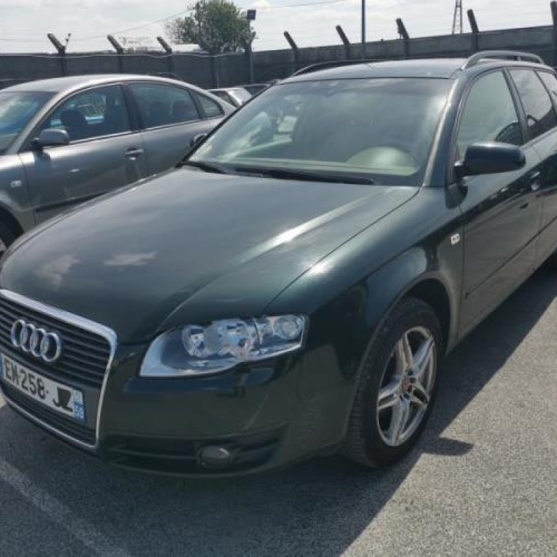 Porte arriere droit AUDI A4 2 Photo n°4