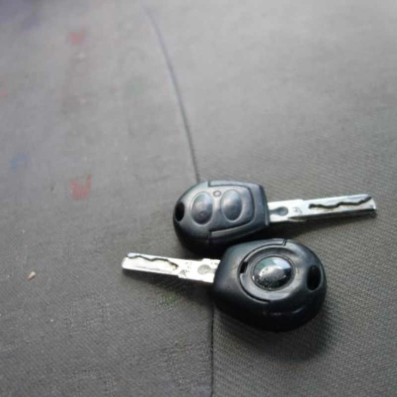Custode avant gauche VOLKSWAGEN SHARAN 1 Photo n°5