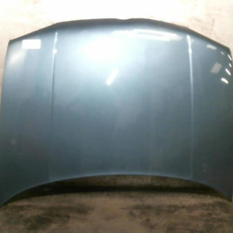 Capot VOLKSWAGEN GOLF 4 Photo n°1