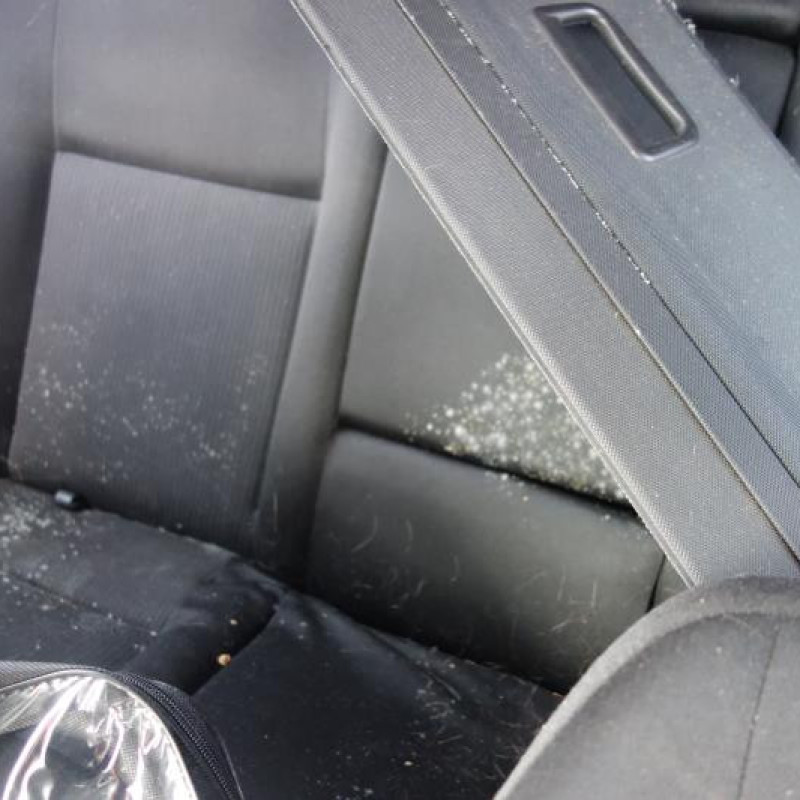 Porte arriere droit VOLKSWAGEN BORA Photo n°8