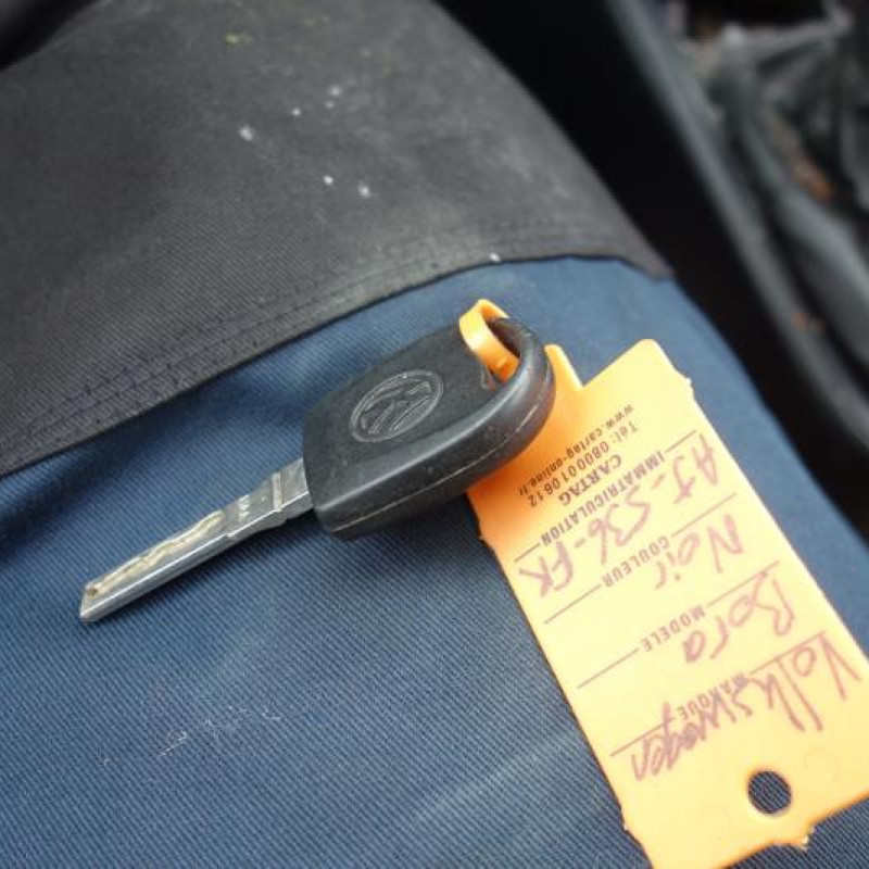 Porte arriere droit VOLKSWAGEN BORA Photo n°12